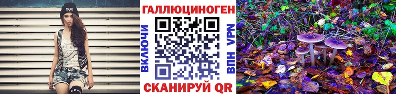 Купить где  Трубчевск  Псилоцибиновые грибы GOLDEN TEACHER 